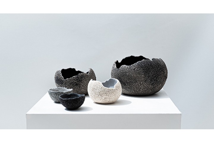 tableware (12)